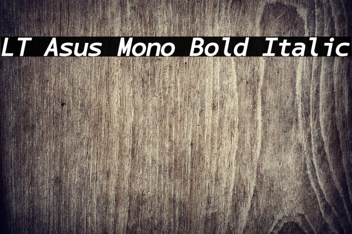 LT Asus Mono Bold Italic Example 3