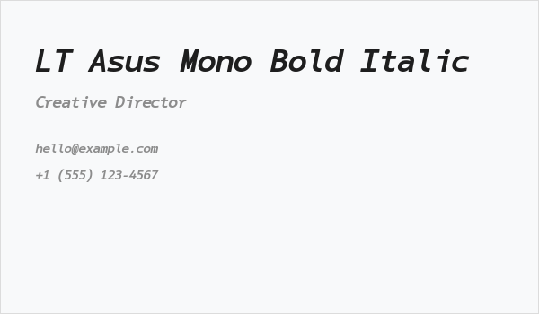 LT Asus Mono Bold Italic Business Card