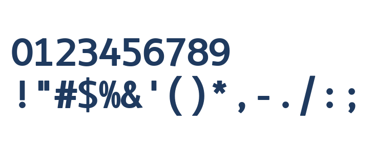 LT Asus Mono Bold Other Characters