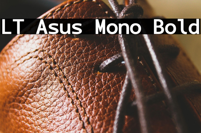 LT Asus Mono Bold Example 1