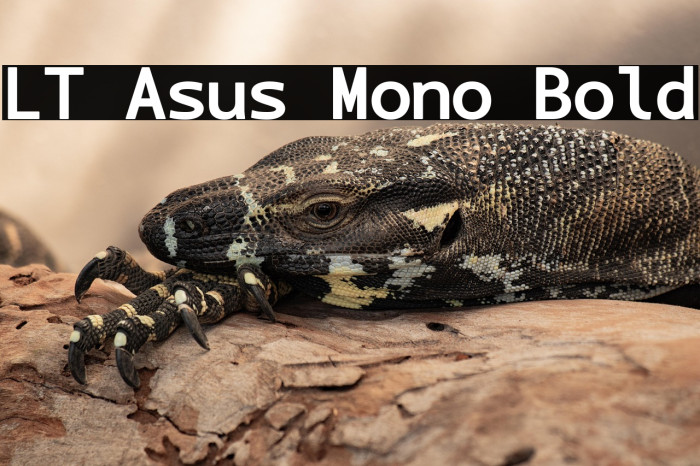 LT Asus Mono Bold Example 2