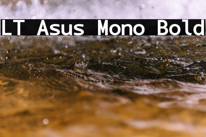LT Asus Mono Bold Example 3