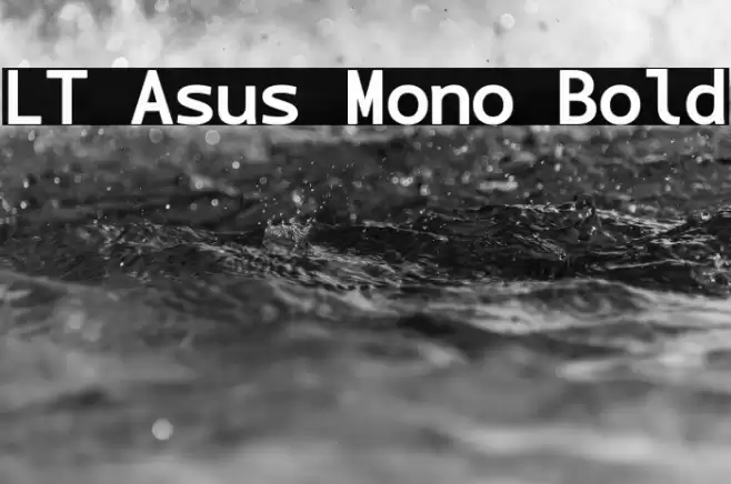 LT Asus Mono Bold Font examples