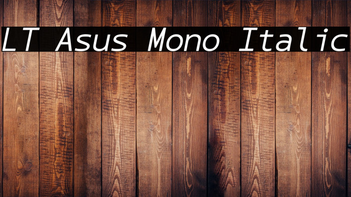 LT Asus Mono Italic Example 1