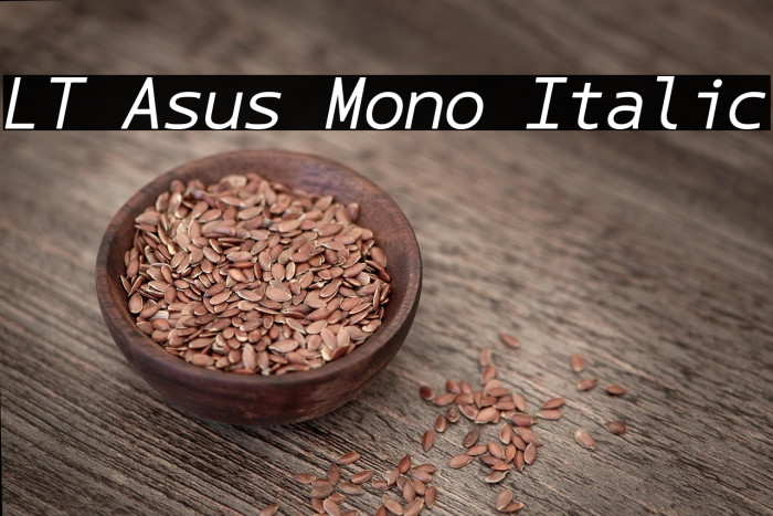 LT Asus Mono Italic Example 2