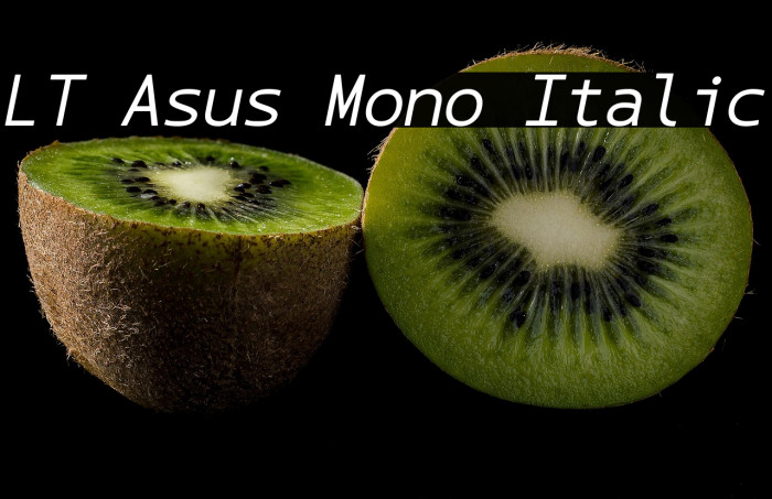 LT Asus Mono Italic Example 3