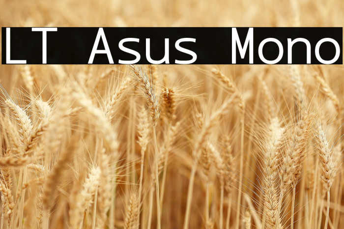 LT Asus Mono Example 2