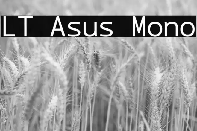 LT Asus Mono Font examples