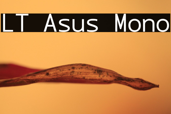 LT Asus Mono Example 3