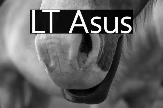 LT Asus Font examples