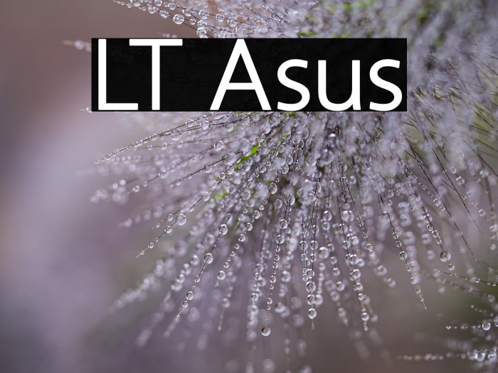 LT Asus Example 2
