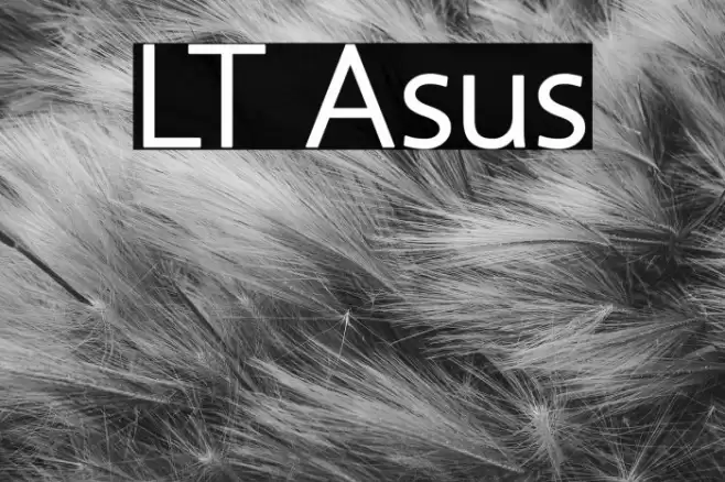 LT Asus Font examples