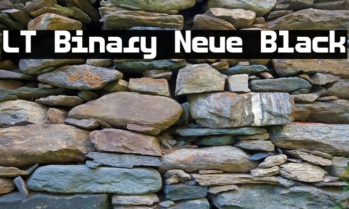 LT Binary Neue Black Example 1