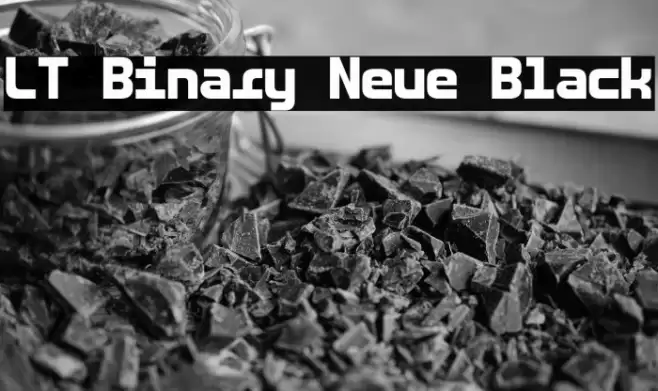 LT Binary Neue Black Font examples