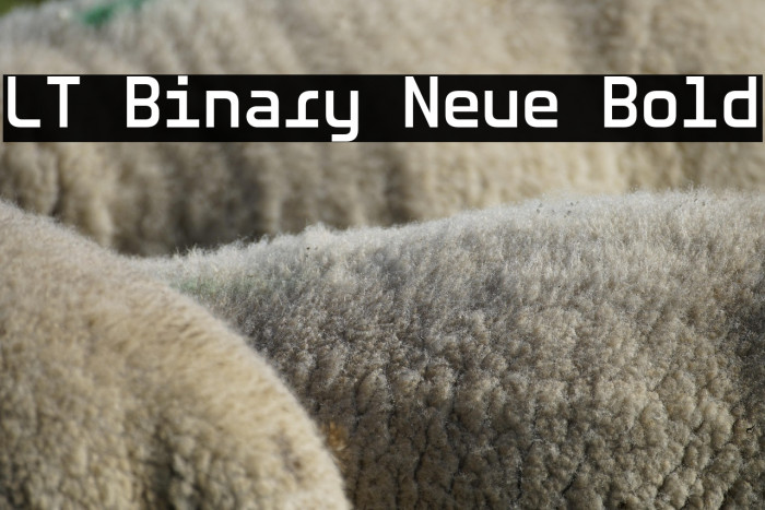 LT Binary Neue Bold Example 1