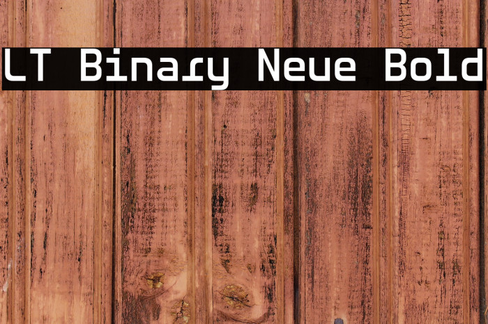 LT Binary Neue Bold Example 2