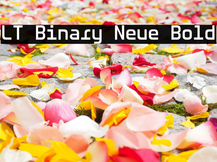 LT Binary Neue Bold Example 3