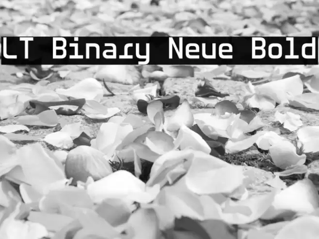 LT Binary Neue Bold Font examples