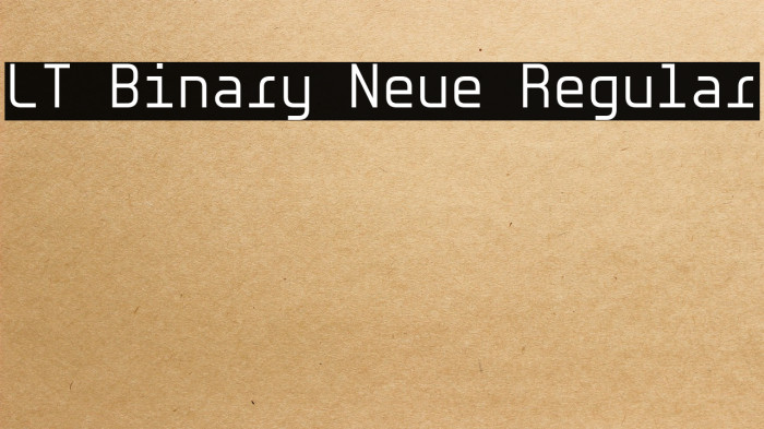 LT Binary Neue Regular Example 1