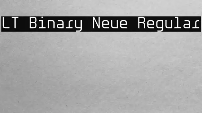 LT Binary Neue Regular Example 1