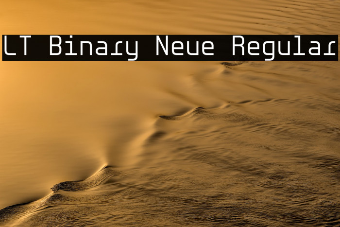 LT Binary Neue Regular Example 3