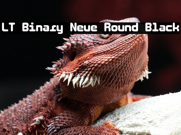 LT Binary Neue Round Black Example 1