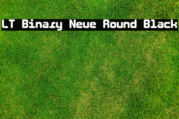 LT Binary Neue Round Black Example 3