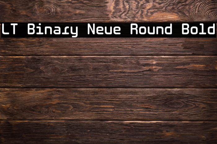 LT Binary Neue Round Bold Example 1