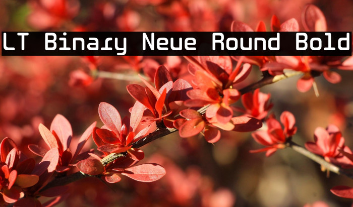 LT Binary Neue Round Bold Example 2