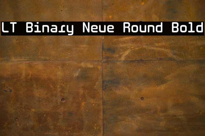 LT Binary Neue Round Bold Example 3