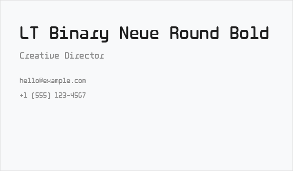 LT Binary Neue Round Bold Business Card