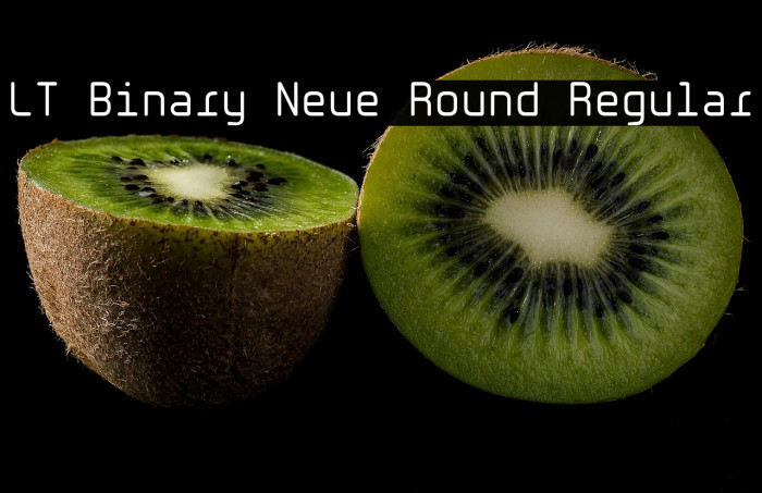 LT Binary Neue Round Regular Example 1