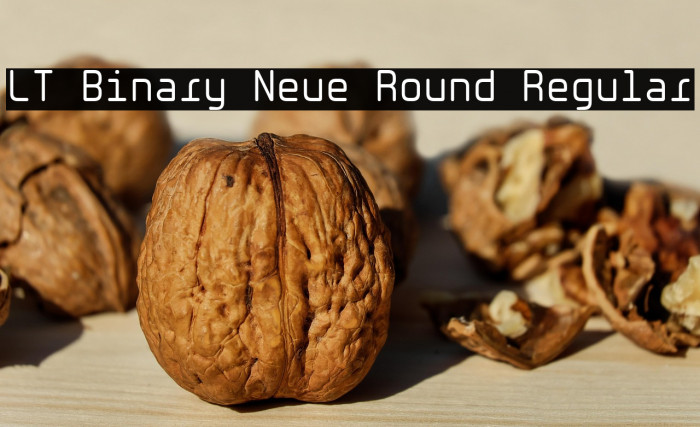 LT Binary Neue Round Regular Example 3