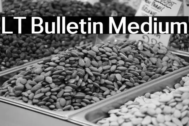 LT Bulletin Medium Font examples
