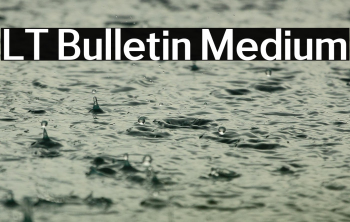 LT Bulletin Medium Example 3