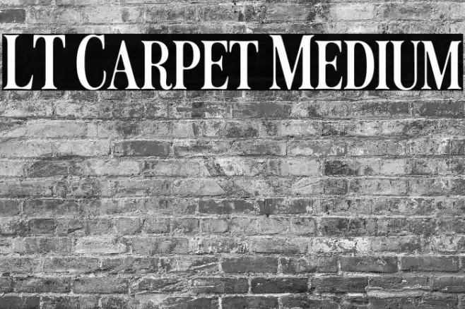 LT Carpet Medium Font examples