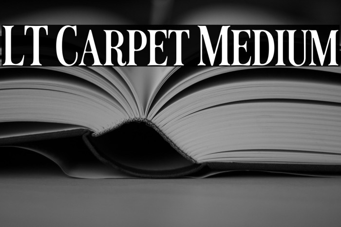 LT Carpet Medium Example 2