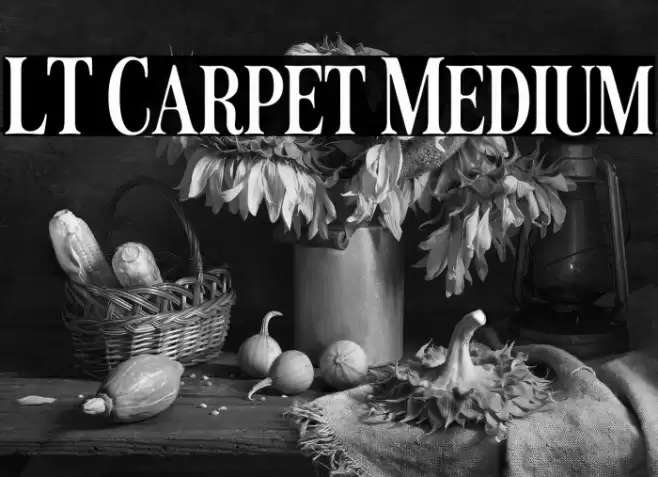 LT Carpet Medium Font examples