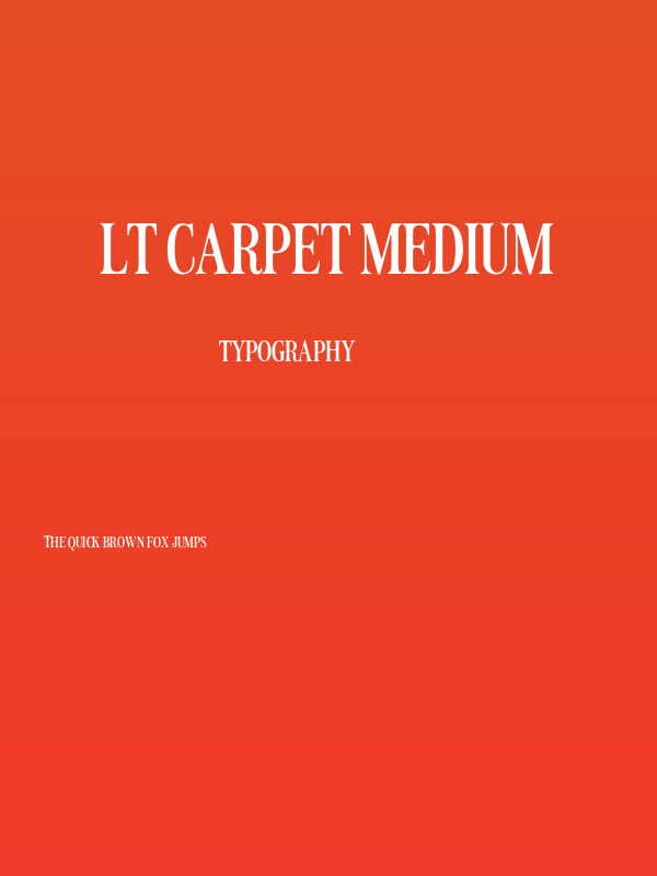 LT Carpet Medium Poster