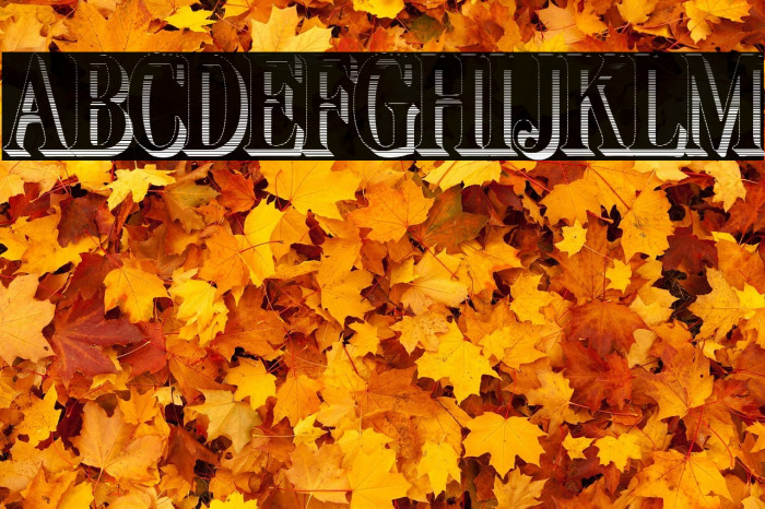 LT Carpet Shadow Gradient Medium Example 1