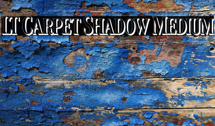 LT Carpet Shadow Medium Example 2