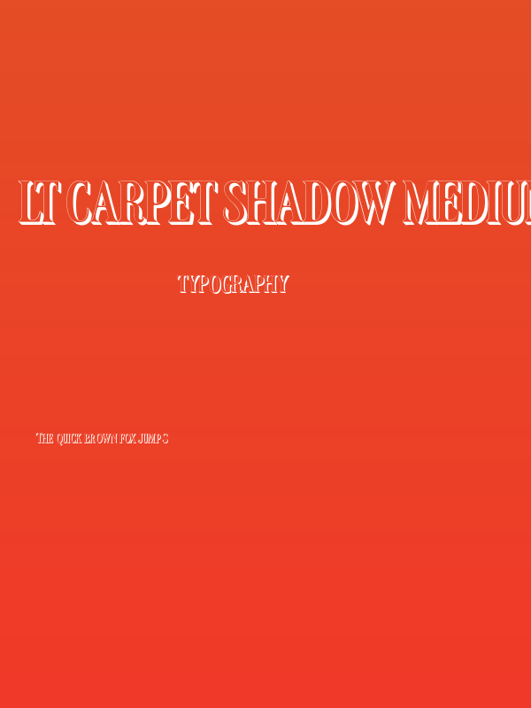 LT Carpet Shadow Medium Poster