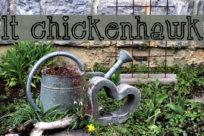 LT Chickenhawk Font examples