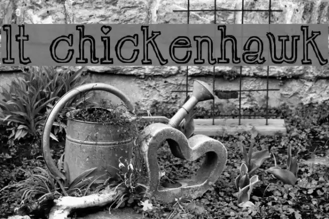 LT Chickenhawk フォント examples