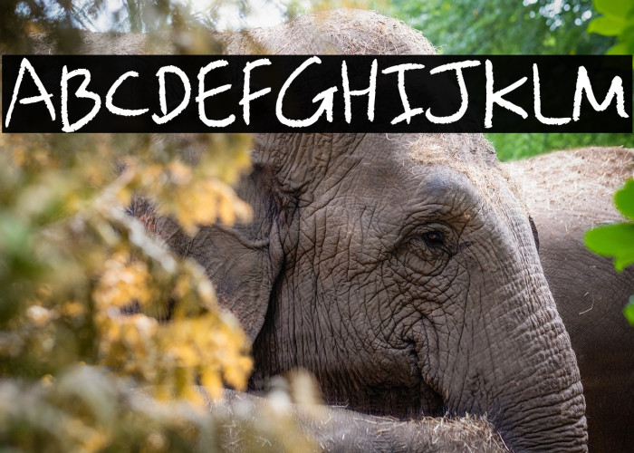 LT Colored Pencil Example 3