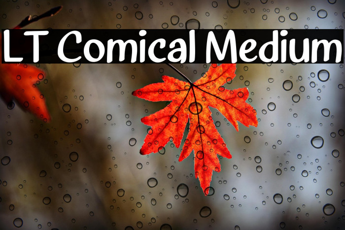 LT Comical Medium Example 1