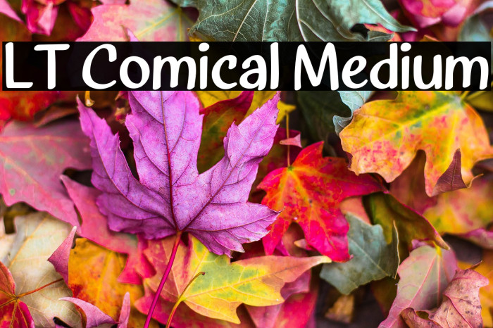 LT Comical Medium Example 3