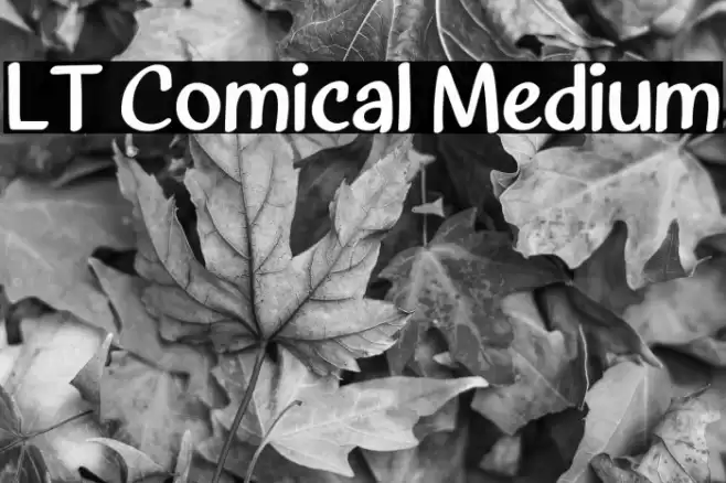 LT Comical Medium Schriftart examples