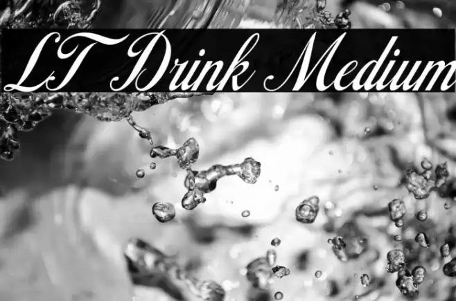 LT Drink Medium Font examples