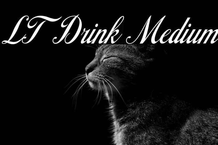 LT Drink Medium Example 2